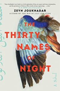 the thirty names of night - zeyn joukhadar